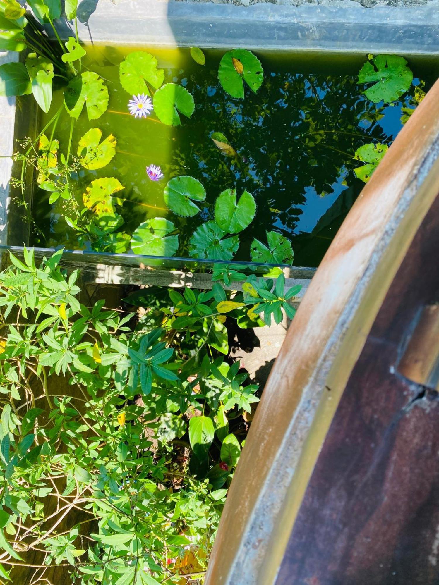 Villa Kabalana 57 阿杭格默 外观 照片